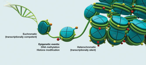 BioRad_Fig1_DNA_histones8417719622