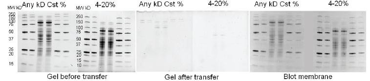 transfer efficiency