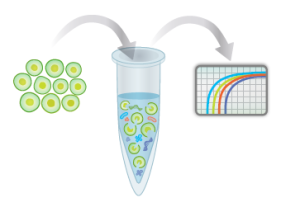 Sso advanced universal inhibitor